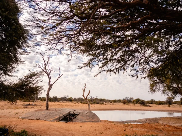 A scenic view of a waterhole surrounded by trees and dry grass at Khamab Game Reserve.